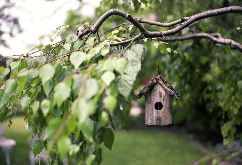 Plastic Bottle Bird Feeders