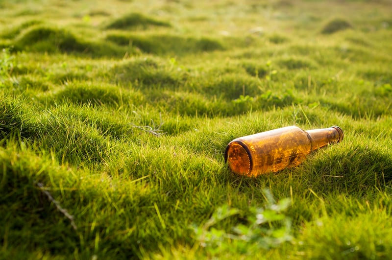 Plastic Bottle Planters
