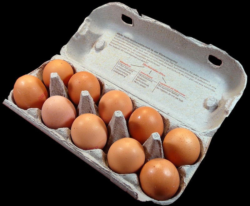 Egg Carton Caterpillars